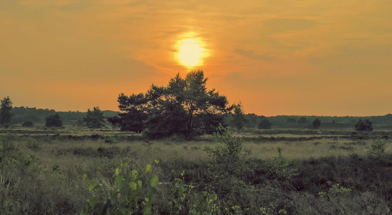 Lodge Goudvink Nunspeet Veluwe Eksteriør bilde