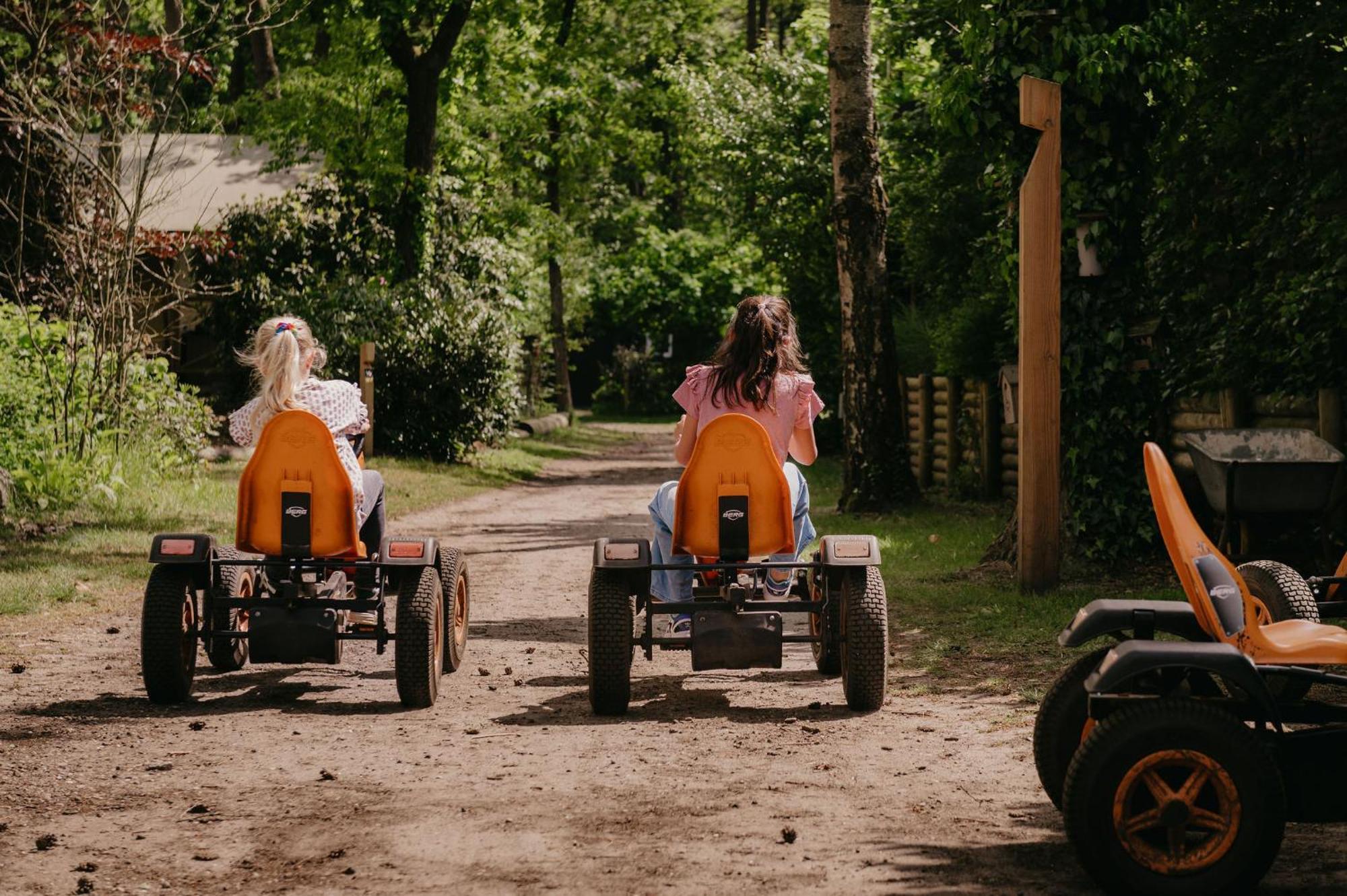 Lodge Goudvink Nunspeet Veluwe Eksteriør bilde