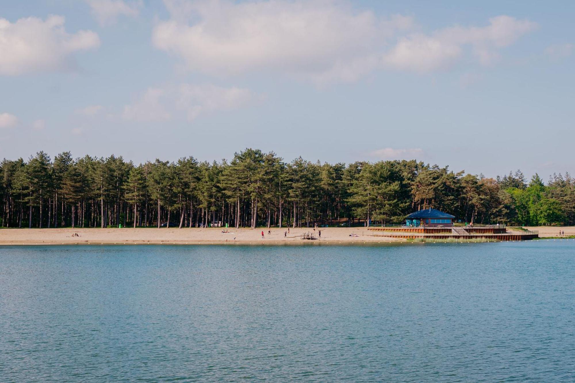 Lodge Goudvink Nunspeet Veluwe Eksteriør bilde
